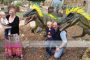 公园做活动的恐龙