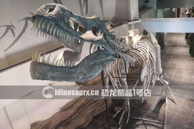 青州侏罗纪体验馆