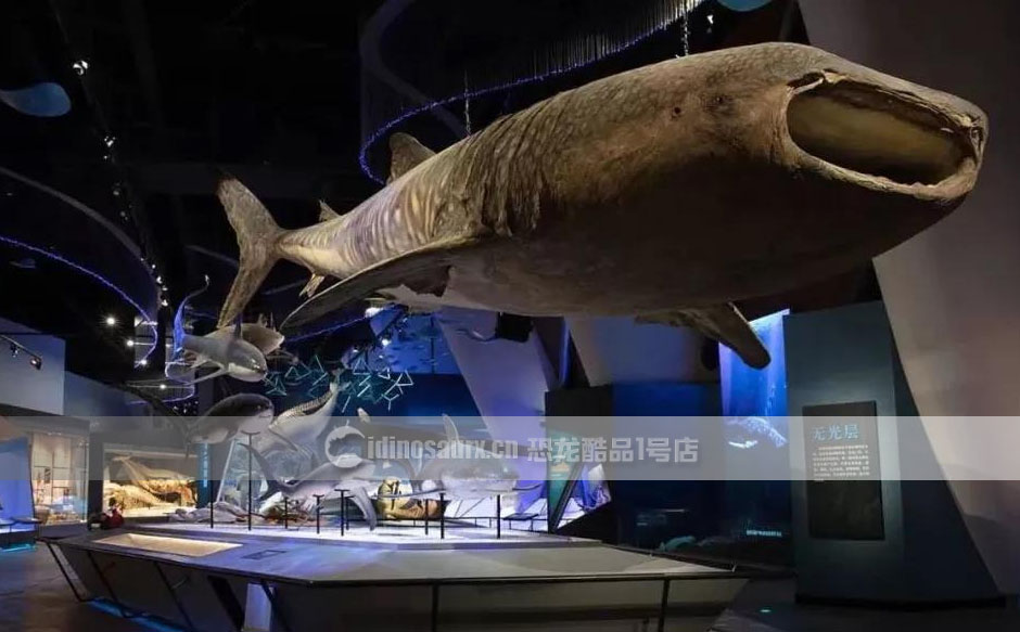 巨型海洋动物模型