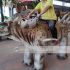 大型剑龙电动车