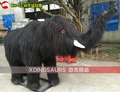 幼年猛犸象模型