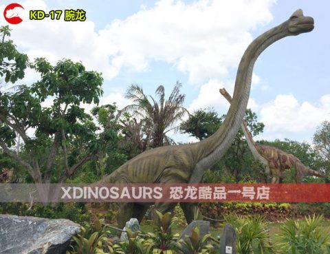 腕龙模型