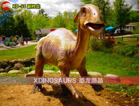 仿真副栉龙