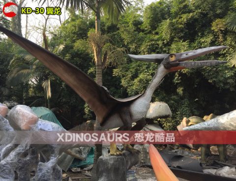 仿真翼龙模型