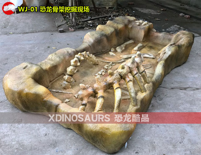 恐龙骨头挖掘现场