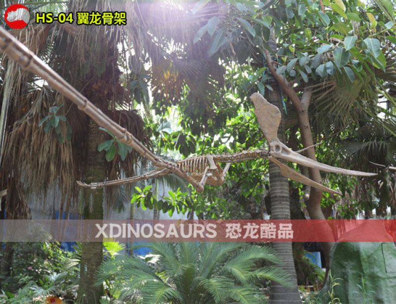 HS-04 仿真翼龙骨架