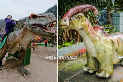 两大恐龙主题产品