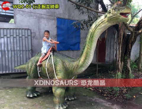 腕龙骑乘设备