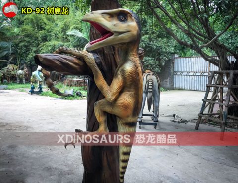 仿真树息龙模型