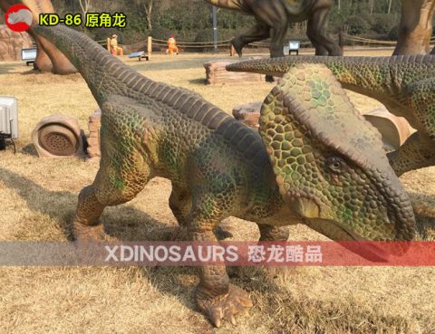 仿真原角龙模型