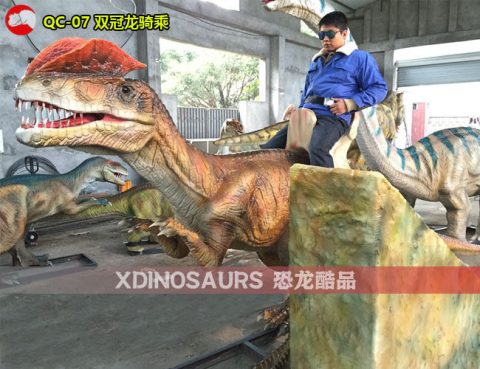 双冠龙骑乘