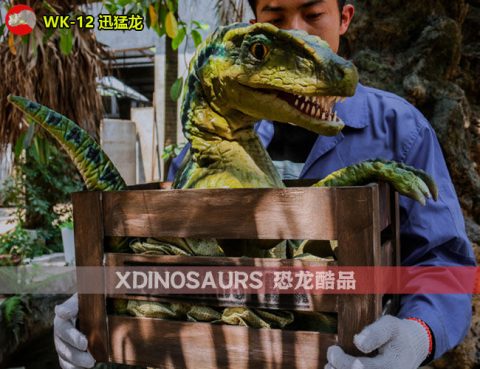 木箱迅猛龙玩偶