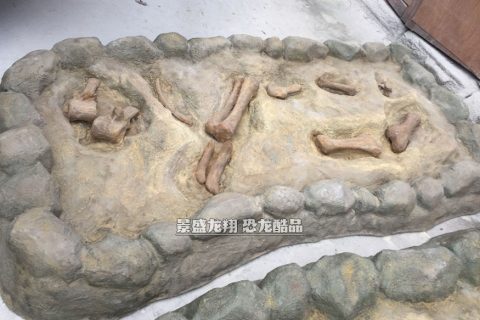 玻璃钢恐龙骨架挖掘现场