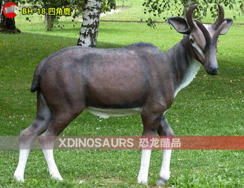四角鹿模型