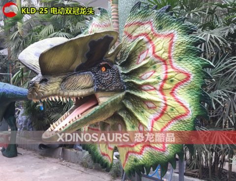 电子双冠龙头
