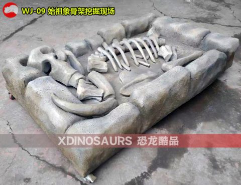 始祖象骨架挖掘现场