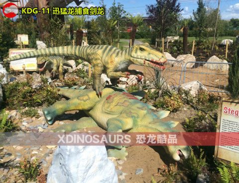 迅猛龙捕食剑龙