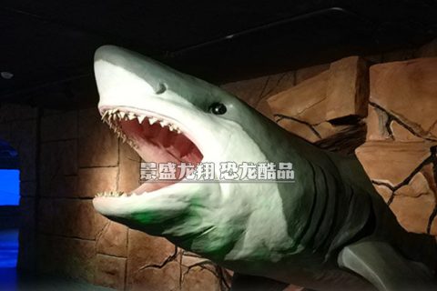 仿真鲨鱼模型