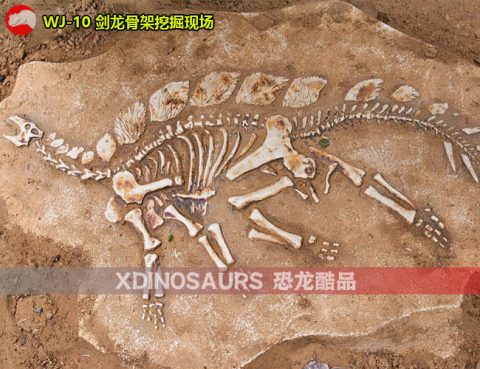 仿真剑龙骨架挖掘现场模型