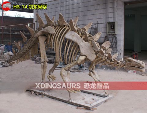 仿真剑龙化石展品