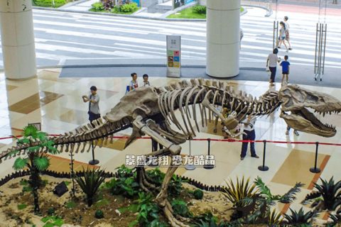 玻璃钢霸王龙化石展品在广场上