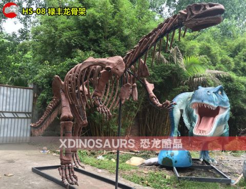 禄丰龙骨架复制品