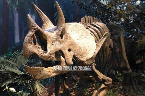 仿真三角龙化石展品