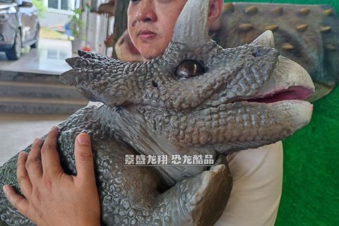 抱着的三角龙玩偶