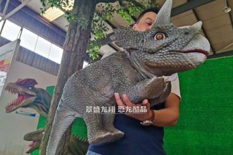 抱着的三角龙手偶