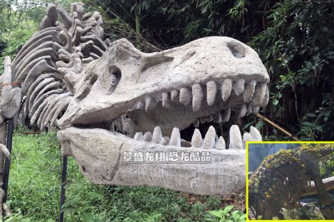 被藤曼缠绕的仿真恐龙骨架