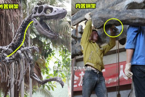 内置外置仿真恐龙骨架钢架