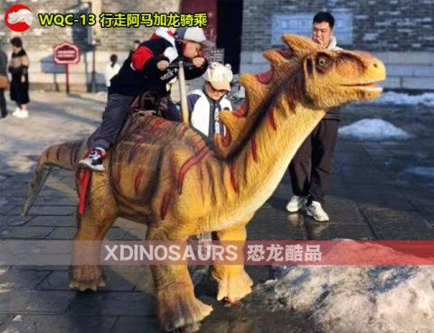 行走阿马加龙骑坐设备