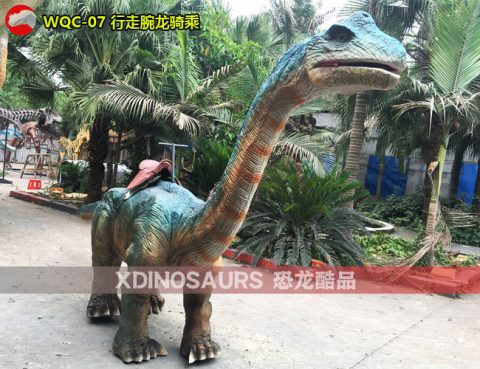 腕龙骑行探险设备