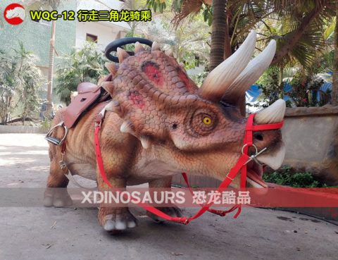 三角龙骑走设备