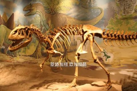 国产仿真恐龙骨架