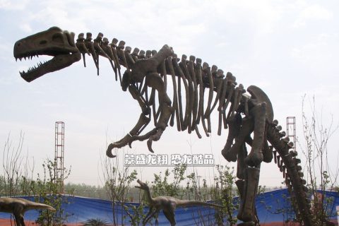 高仿恐龙化石展品