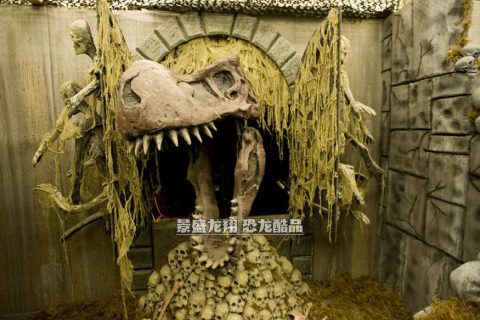 暴龙头骨/骨架展品