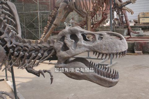仿真史前动物化石展品