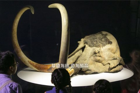 高仿象牙雕塑装饰