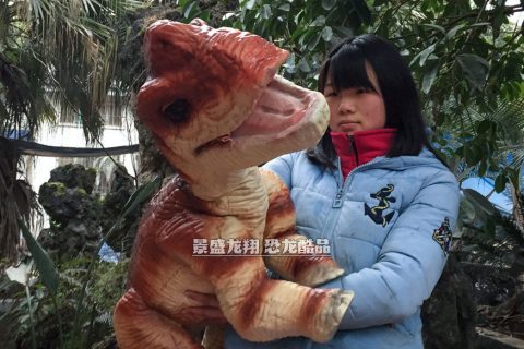 恐龙秀道具