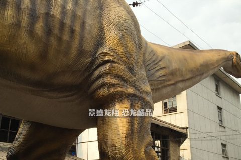 大型迷惑龙模型