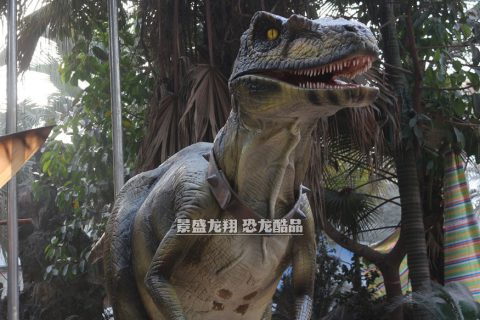 DIY恐龙演出服