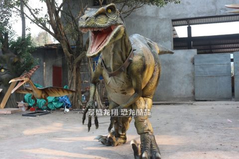 定制的舞台恐龙道具服