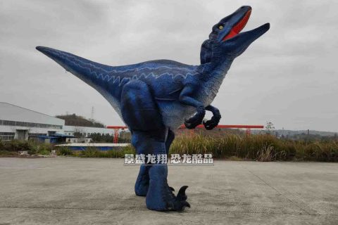 恐龙模仿秀套装
