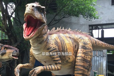 恐龙互动套装