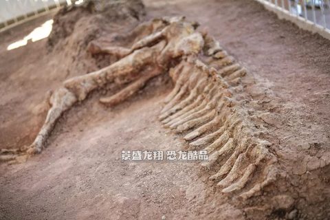 高仿恐龙骨架挖掘场地景观