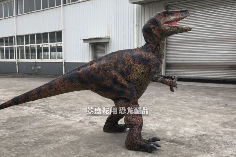 不露腿恐龙服