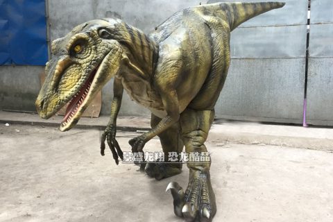 恐龙装备套装