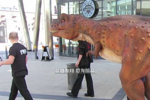 恐龙道具服可拍广告