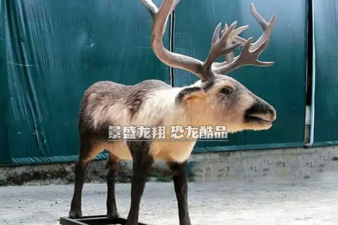 创意动物模型展品